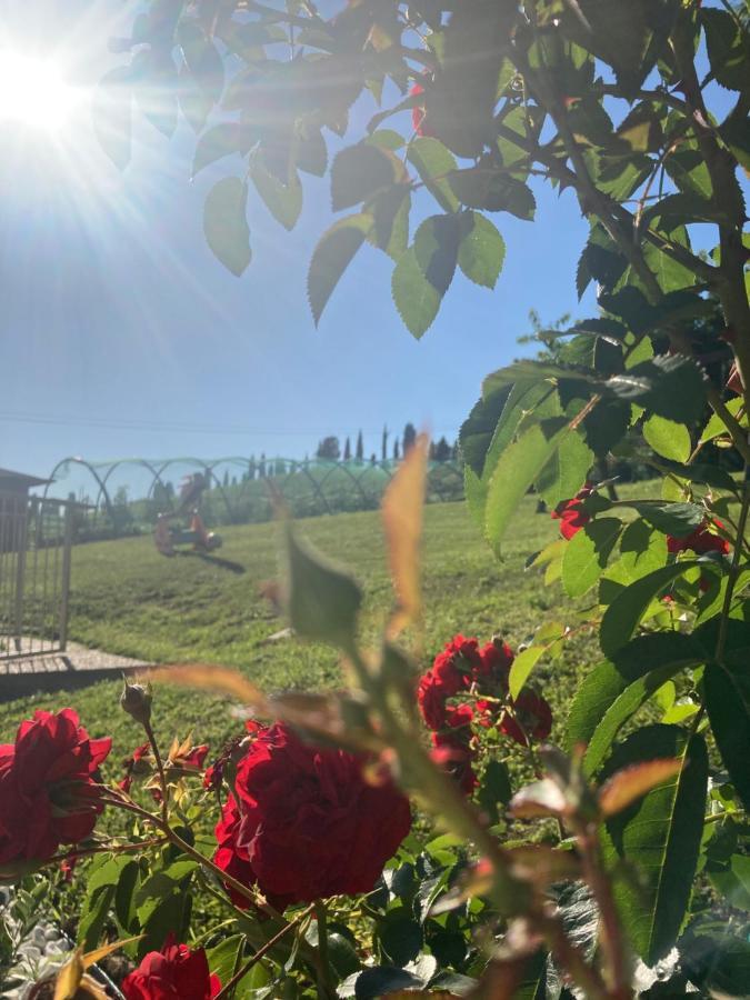 Torre de' Roveri B&B” La Tezza” المظهر الخارجي الصورة